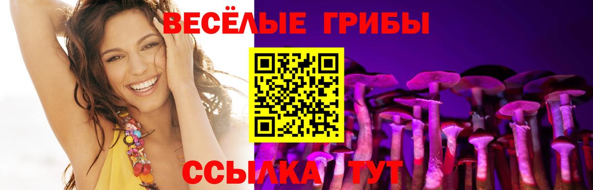 Псилоцибиновые грибы MAGIC MUSHROOMS  купить наркотик  Тулун  Вход с VPN 