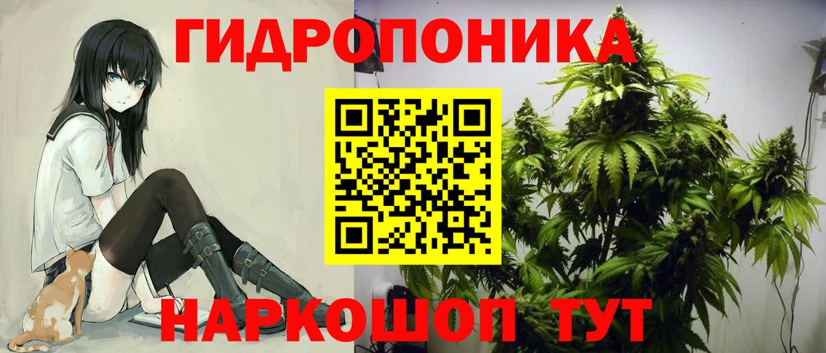 Каннабис планчик  Конопля SATIVA & INDICA  Тулун  Вход с VPN  Бошки марихуана OG Kush 